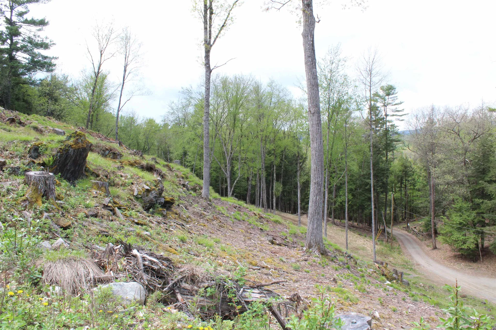 Lot 23/24 Wetherbee Road Lyman NH 03585