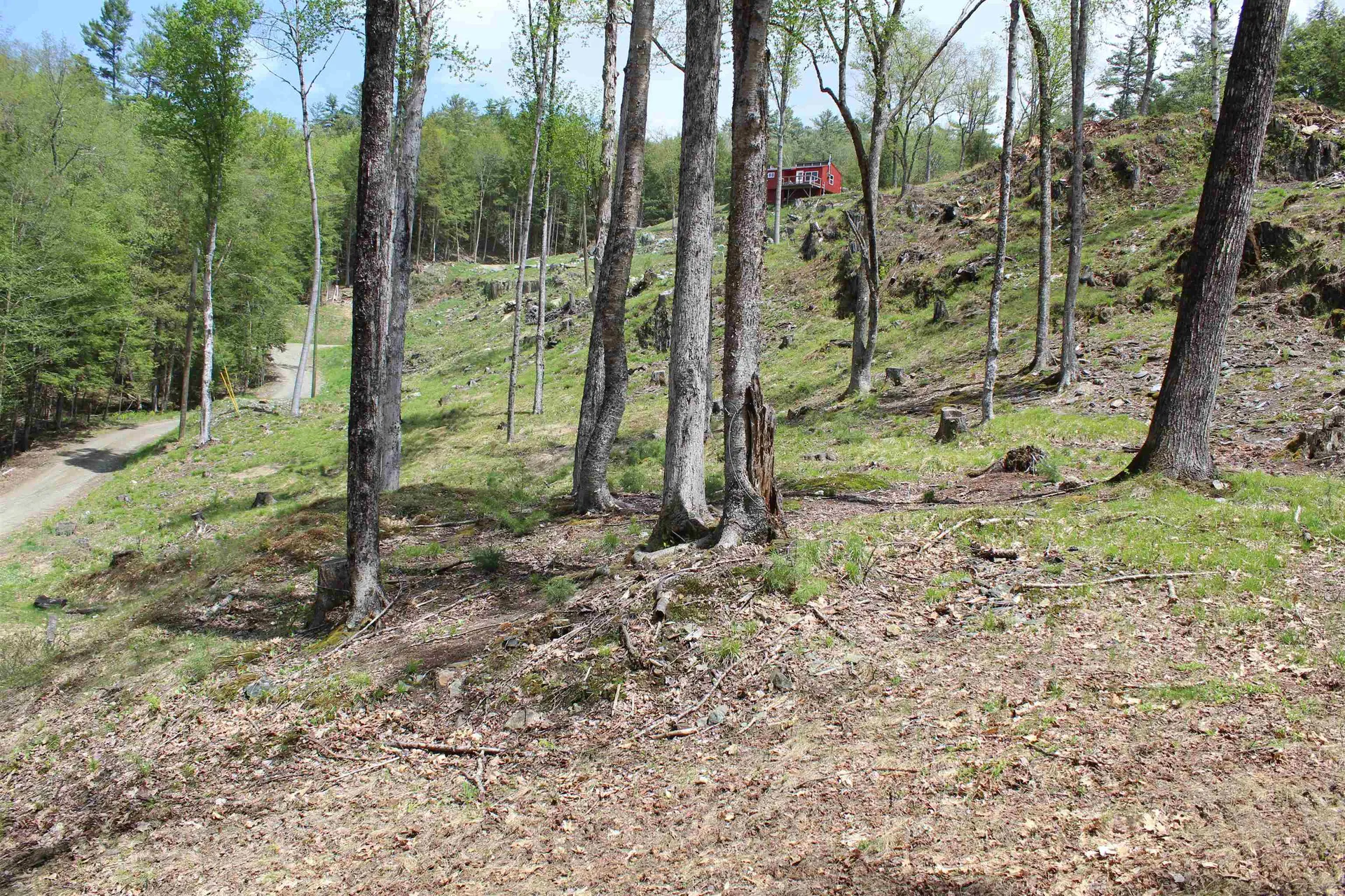 Lot 23/24 Wetherbee Road Lyman NH 03585