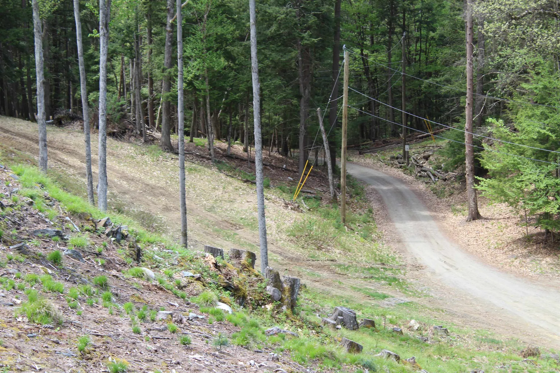 Lot 23/24 Wetherbee Road Lyman NH 03585