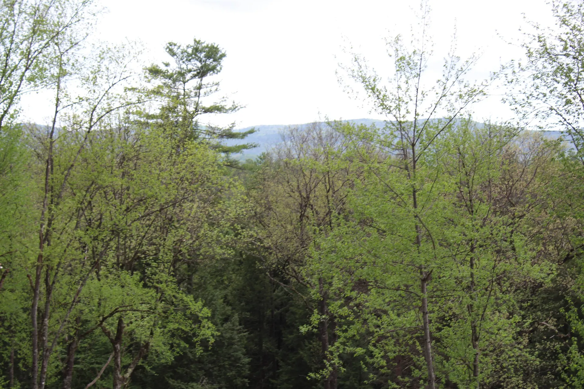 Lot 23/24 Wetherbee Road Lyman NH 03585