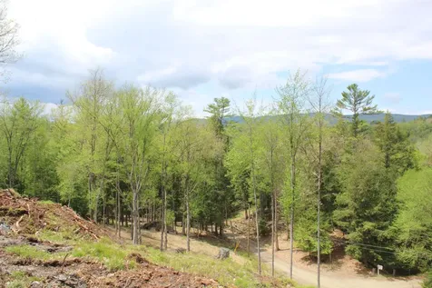 Lot 23/24 Wetherbee Road Lyman NH 03585