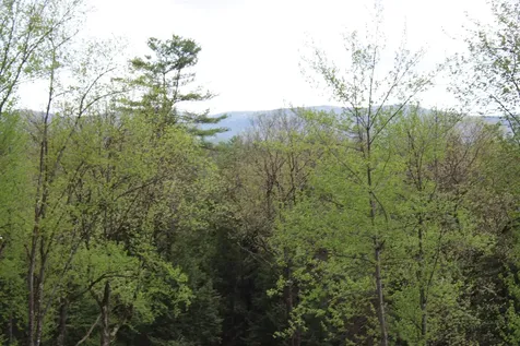 Lot 23/24 Wetherbee Road Lyman NH 03585