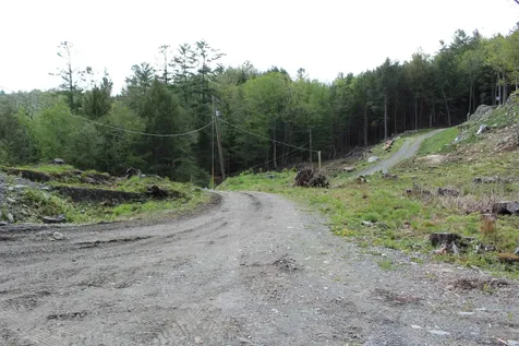 Lot 23/24 Wetherbee Road Lyman NH 03585
