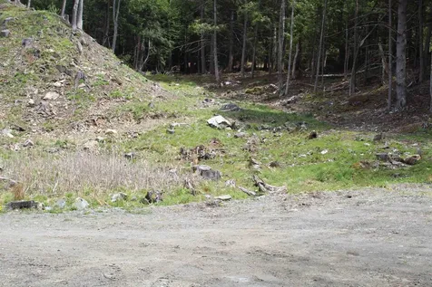 Lot 23/24 Wetherbee Road Lyman NH 03585