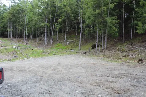 Lot 23/24 Wetherbee Road Lyman NH 03585