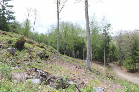 Lot 23/24 Wetherbee Road Lyman NH 03585