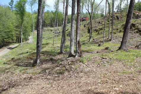 Lot 23/24 Wetherbee Road Lyman NH 03585