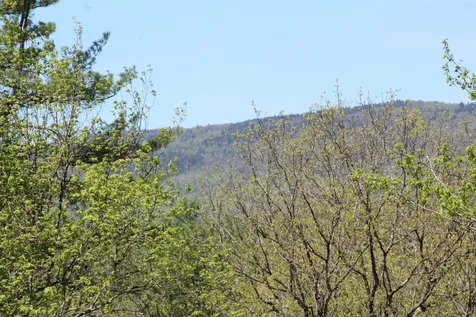 Lot 23/24 Wetherbee Road Lyman NH 03585