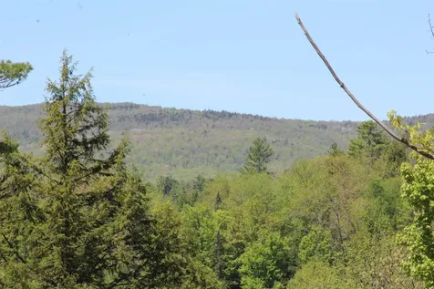 Lot 23/24 Wetherbee Road Lyman NH 03585
