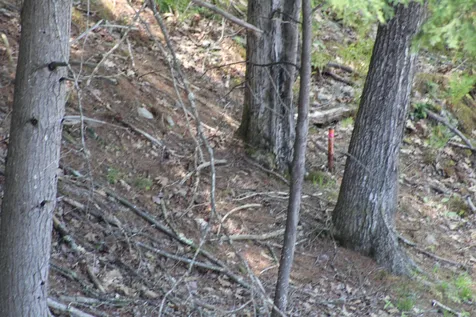Lot 23/24 Wetherbee Road Lyman NH 03585