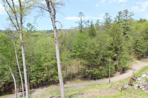 Lot 23/24 Wetherbee Road Lyman NH 03585