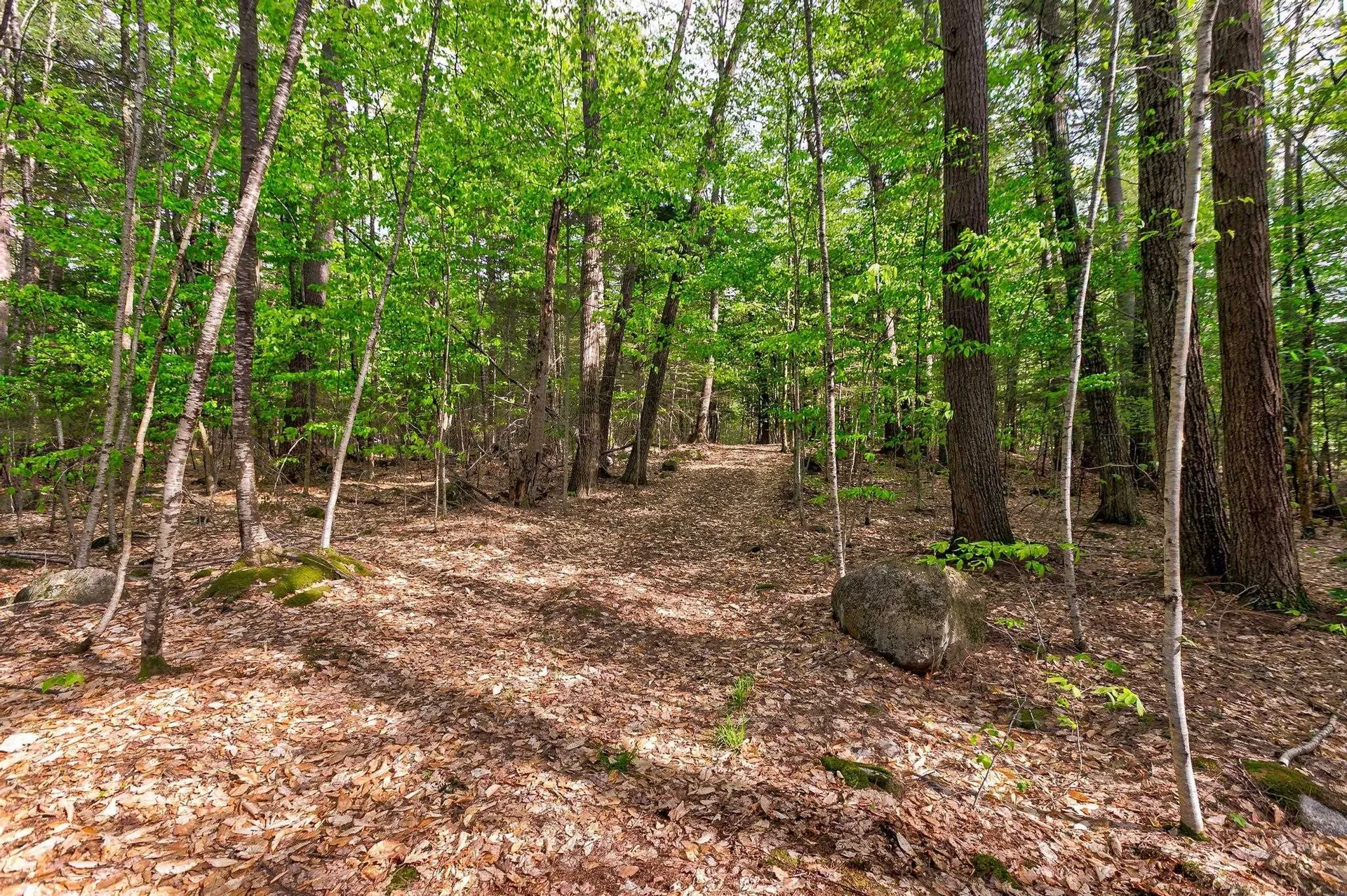 52 Little Road Meredith NH 03253