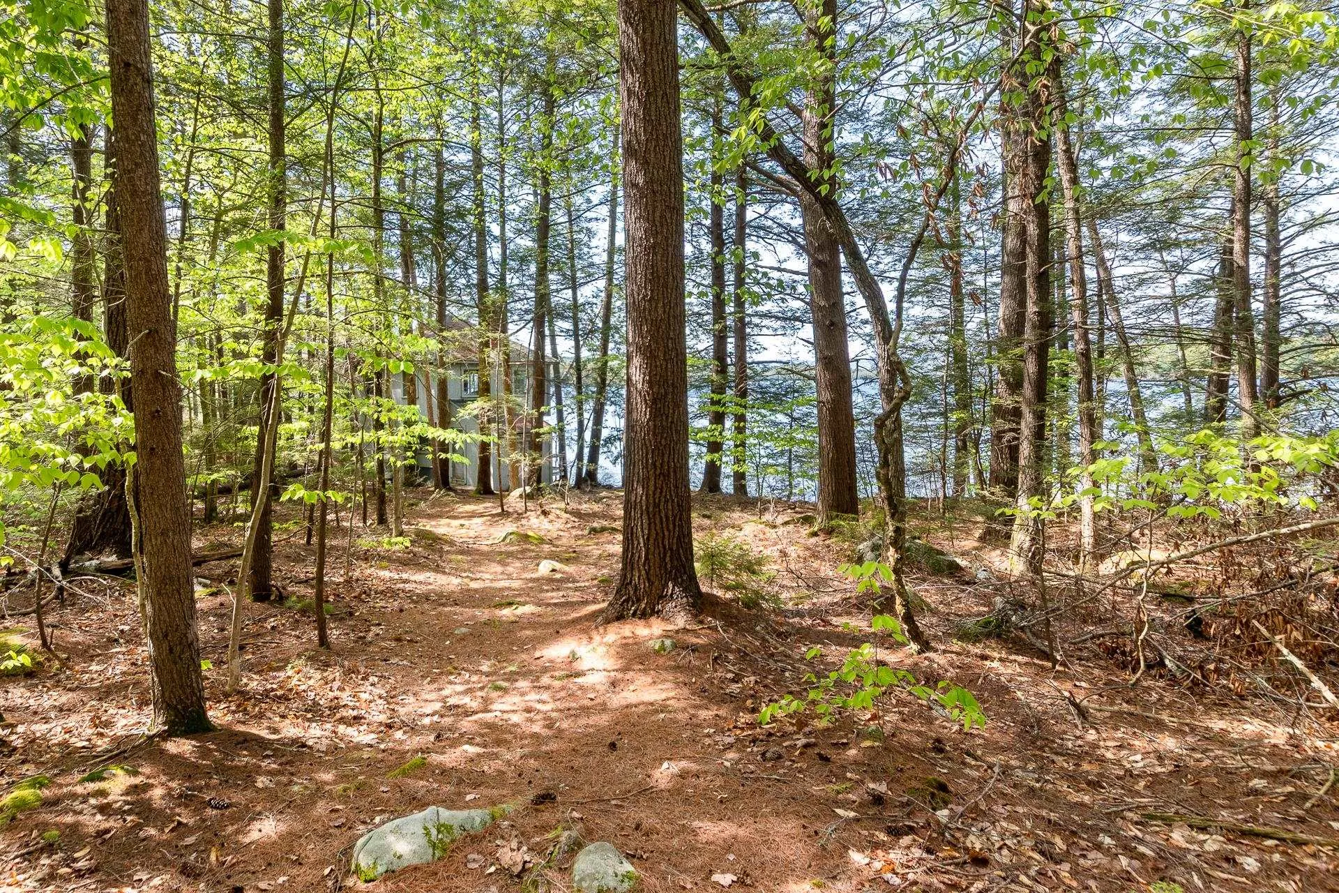 52 Little Road Meredith NH 03253