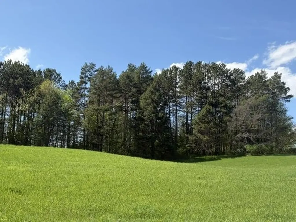 1465 Darling Hill Road Lyndon VT 05851