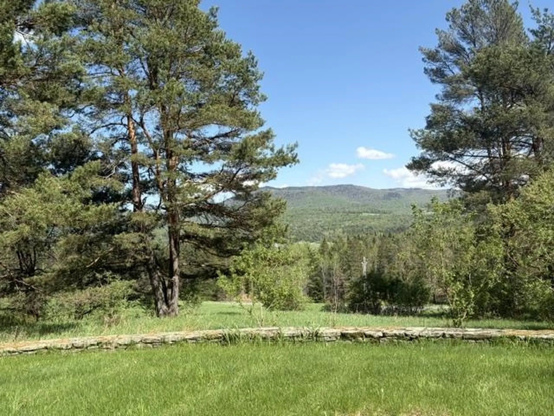 1465 Darling Hill Road Lyndon VT 05851