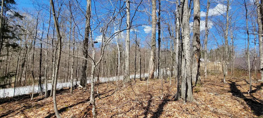 7 Spring Hill Road Killington VT 05751