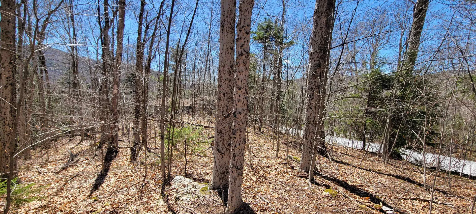 7 Spring Hill Road Killington VT 05751