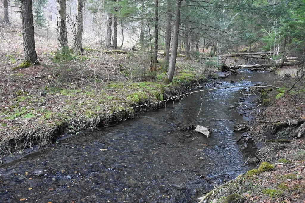 Lot B Windmill Lane Williamstown VT 05679