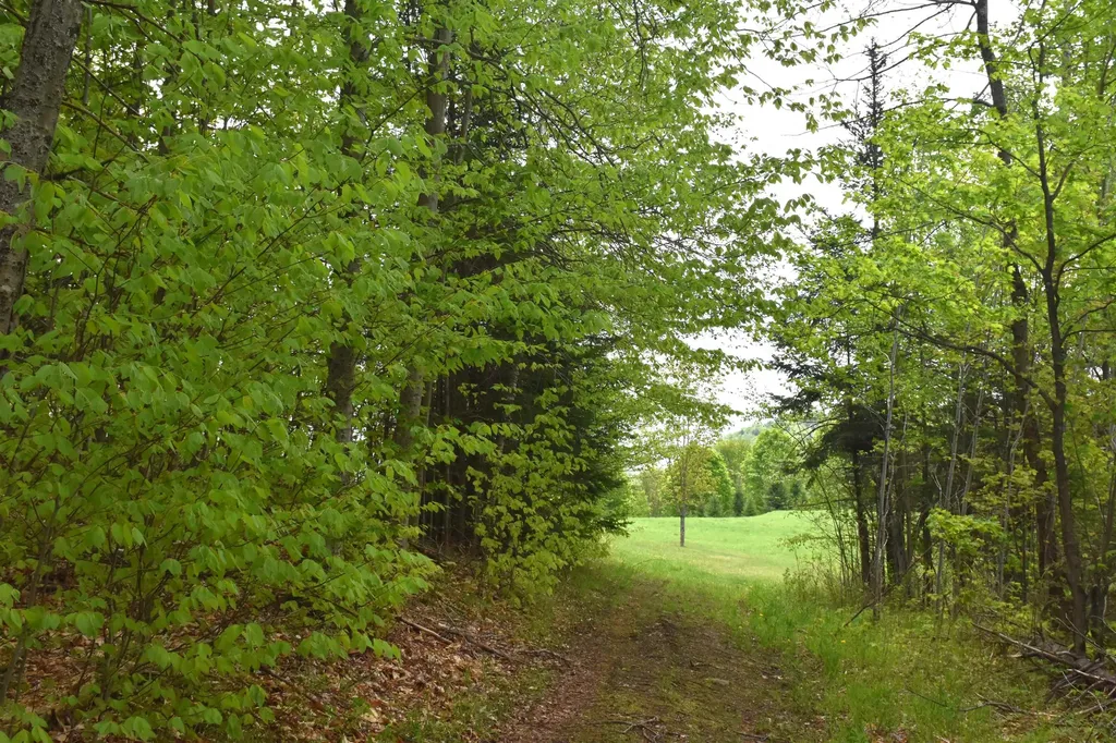 Lot B Windmill Lane Williamstown VT 05679