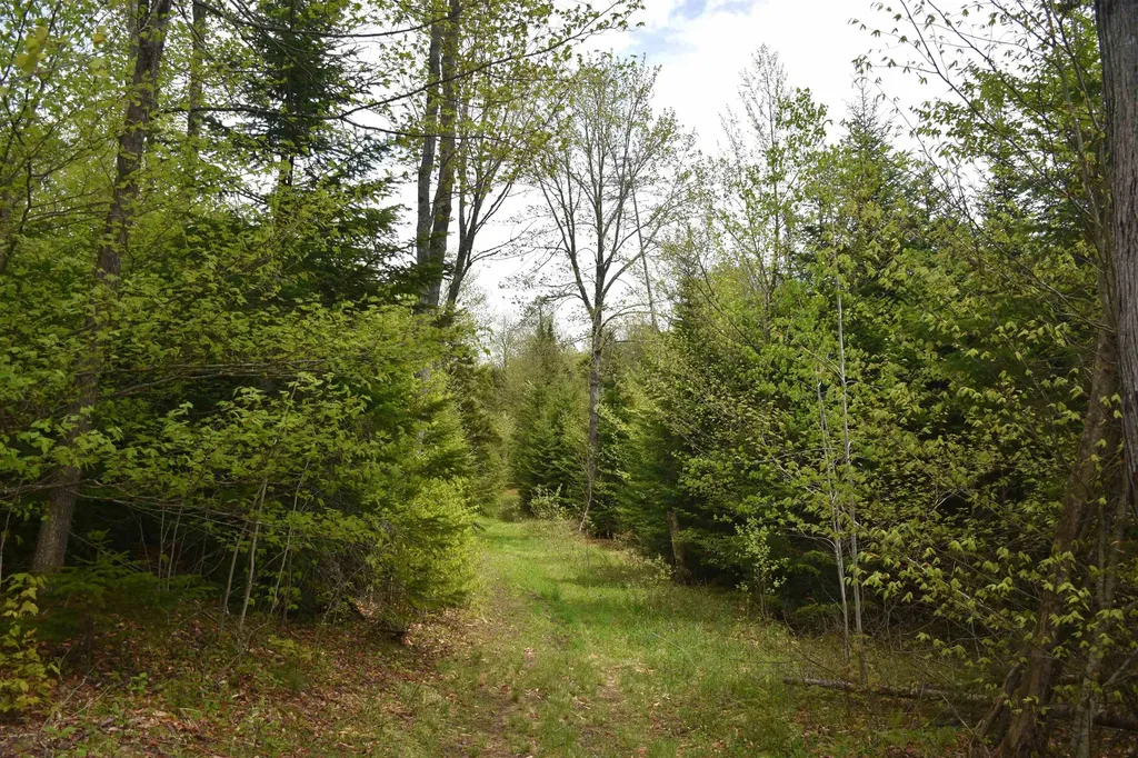 Lot B Windmill Lane Williamstown VT 05679