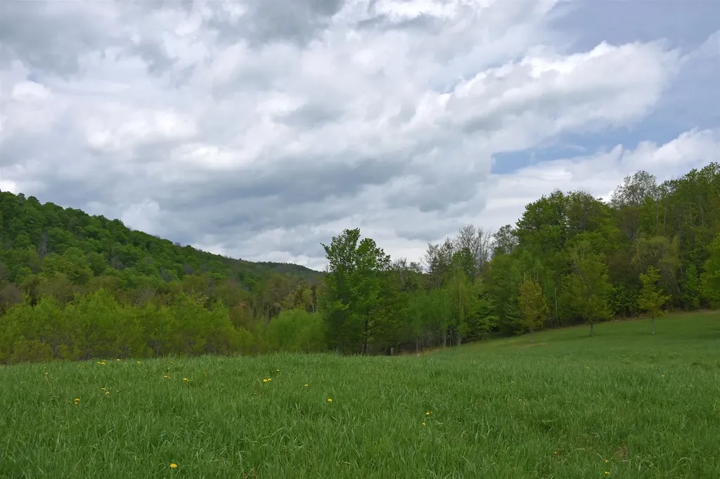 Lot B Windmill Lane Williamstown VT 05679