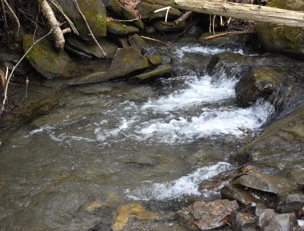 Lot B Windmill Lane Williamstown VT 05679