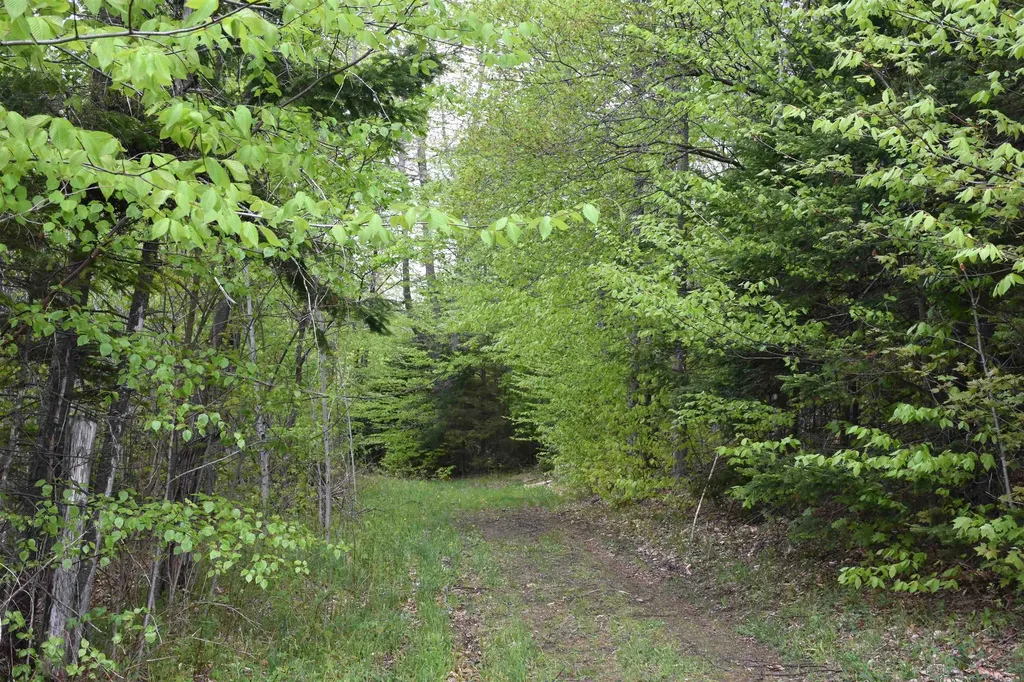 Lot B Windmill Lane Williamstown VT 05679