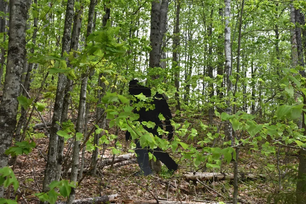 Lot B Windmill Lane Williamstown VT 05679