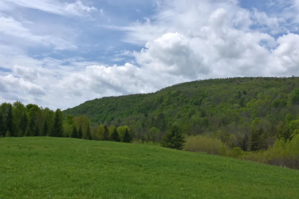 Lot B Windmill Lane Williamstown VT 05679