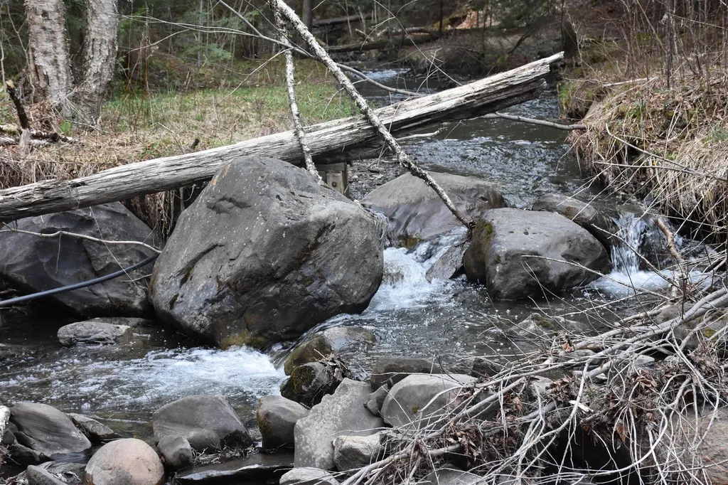 Lot B Windmill Lane Williamstown VT 05679