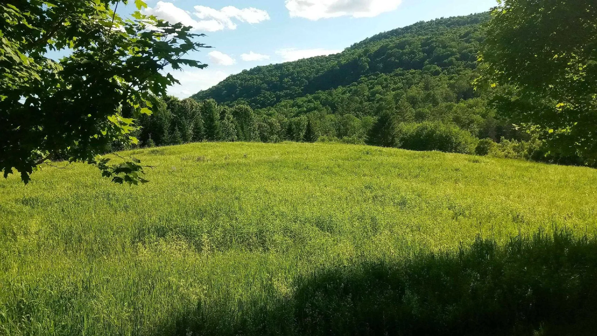 Lot B Windmill Lane Williamstown VT 05679