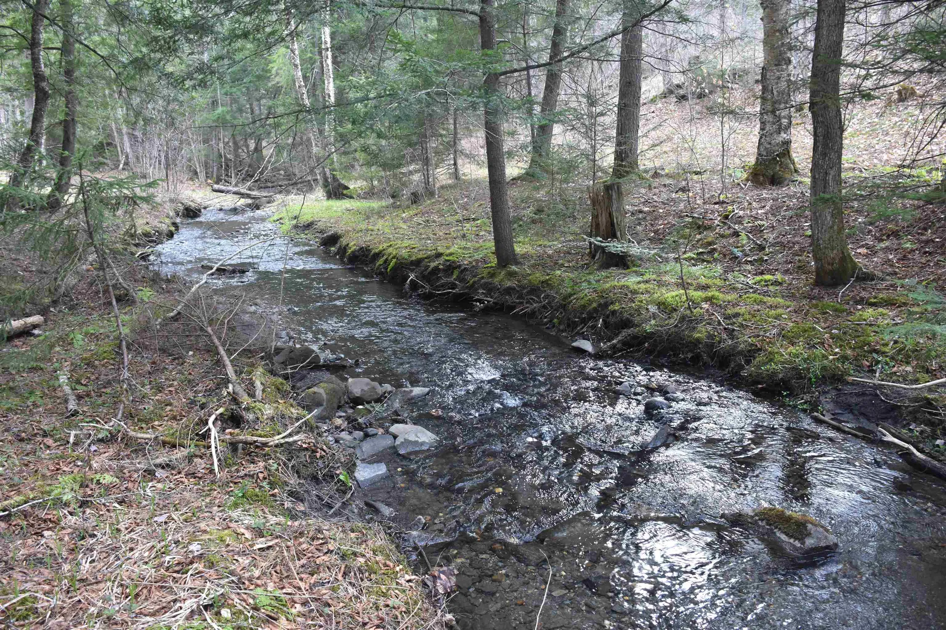 Lot B Windmill Lane Williamstown VT 05679