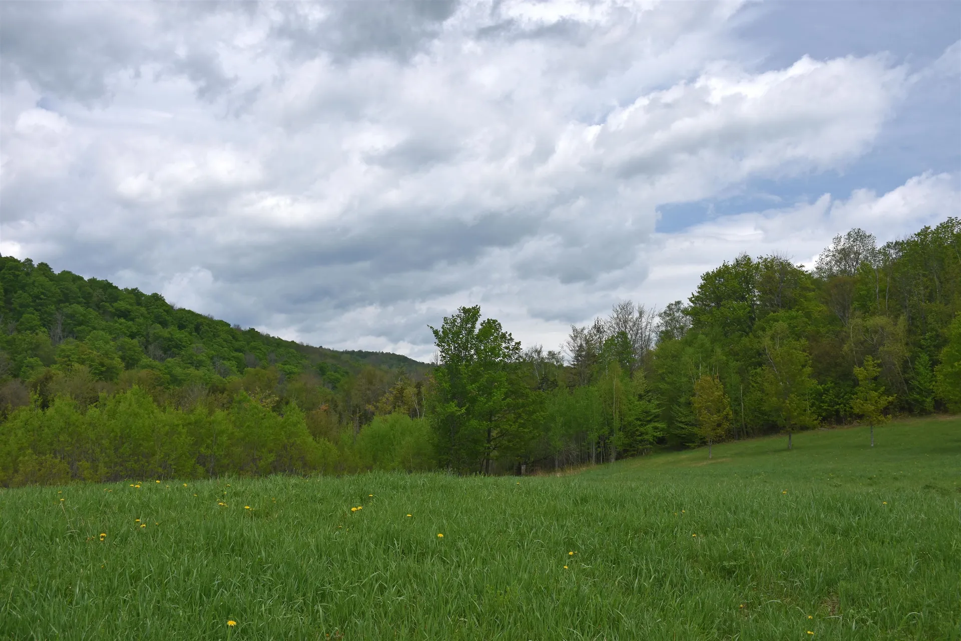 Lot B Windmill Lane Williamstown VT 05679
