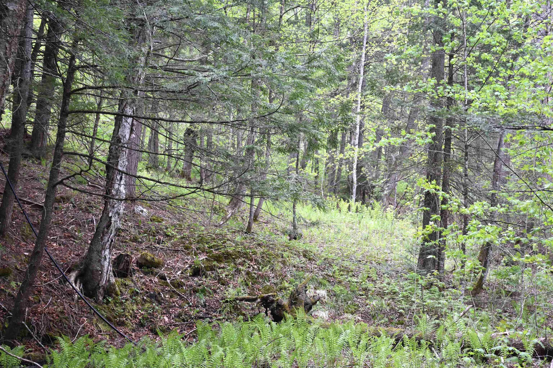 Lot B Windmill Lane Williamstown VT 05679