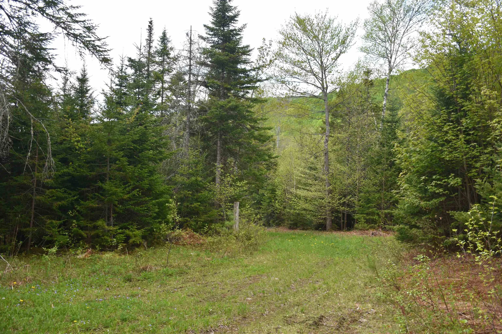 Lot B Windmill Lane Williamstown VT 05679