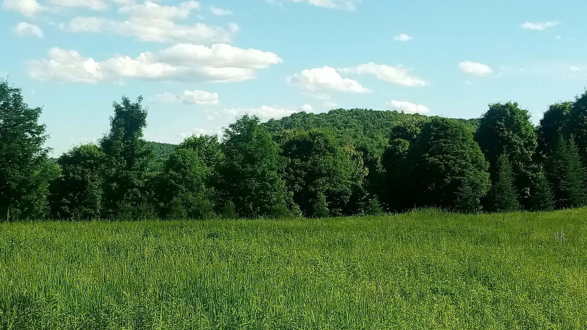 Lot B Windmill Lane Williamstown VT 05679