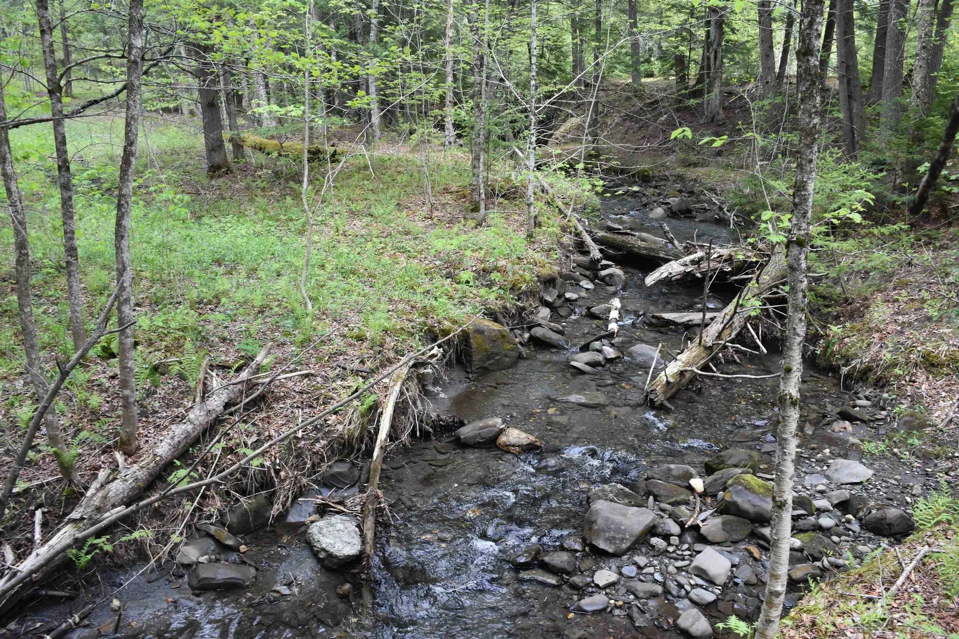 Lot B Windmill Lane Williamstown VT 05679
