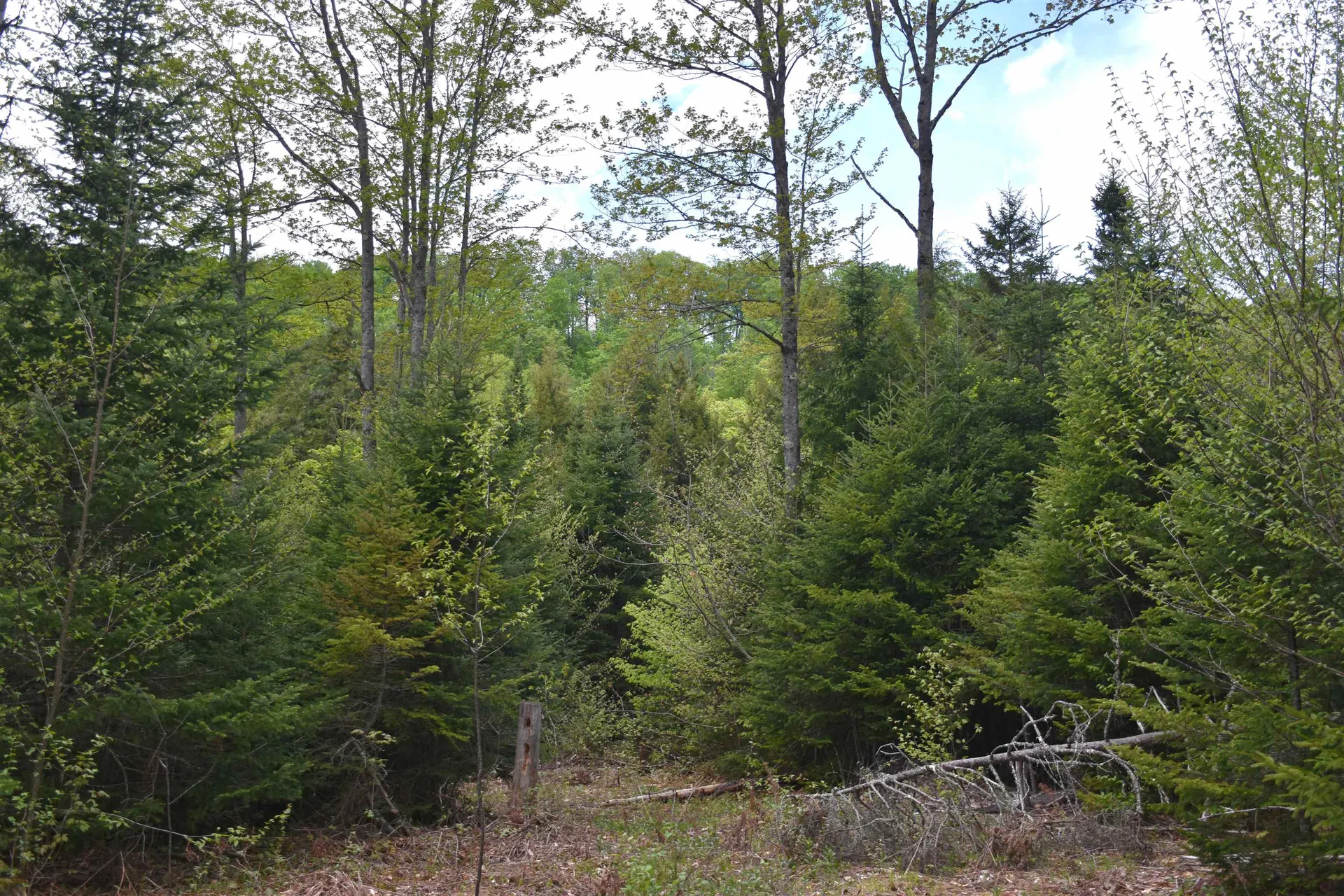 Lot B Windmill Lane Williamstown VT 05679