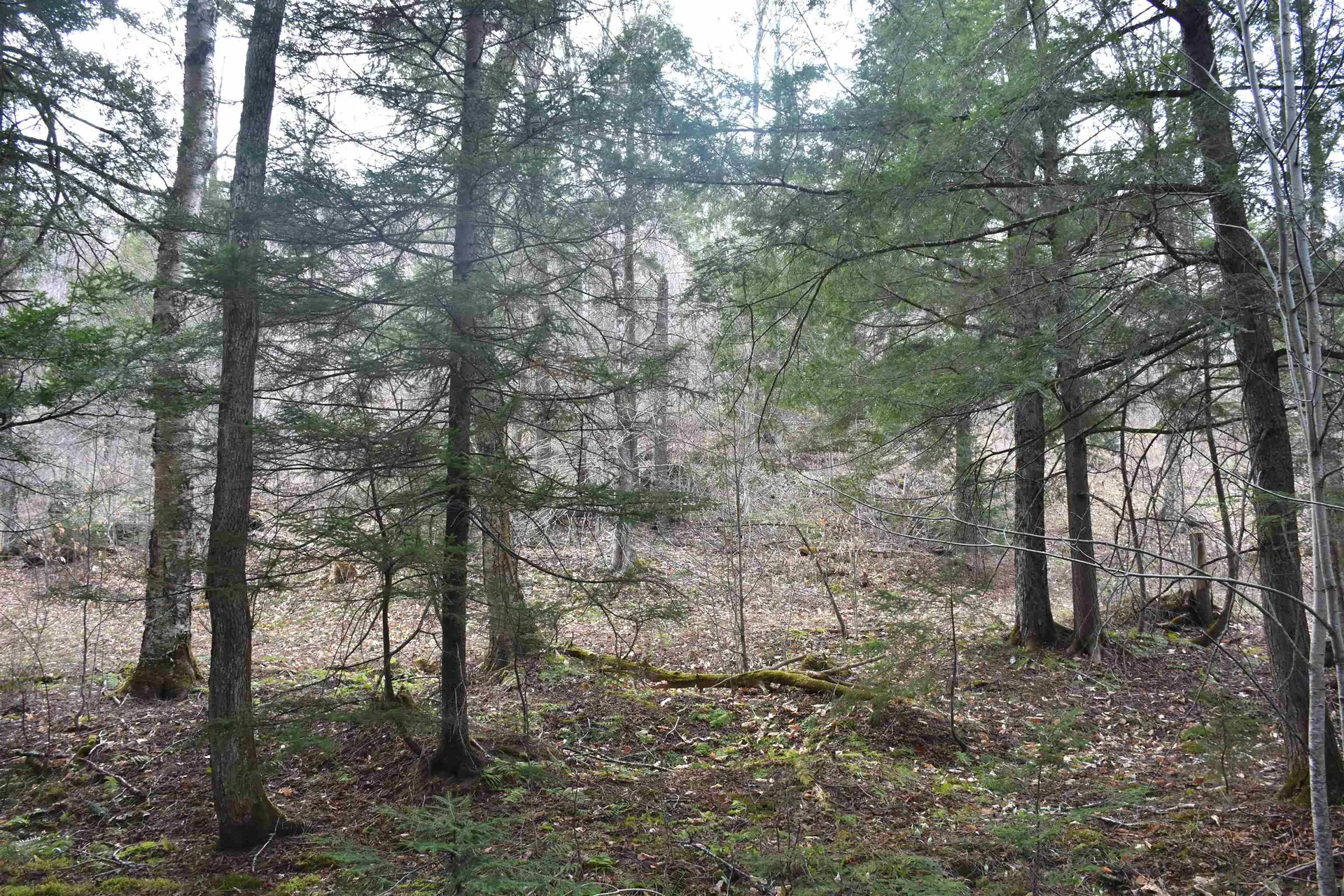 Lot B Windmill Lane Williamstown VT 05679