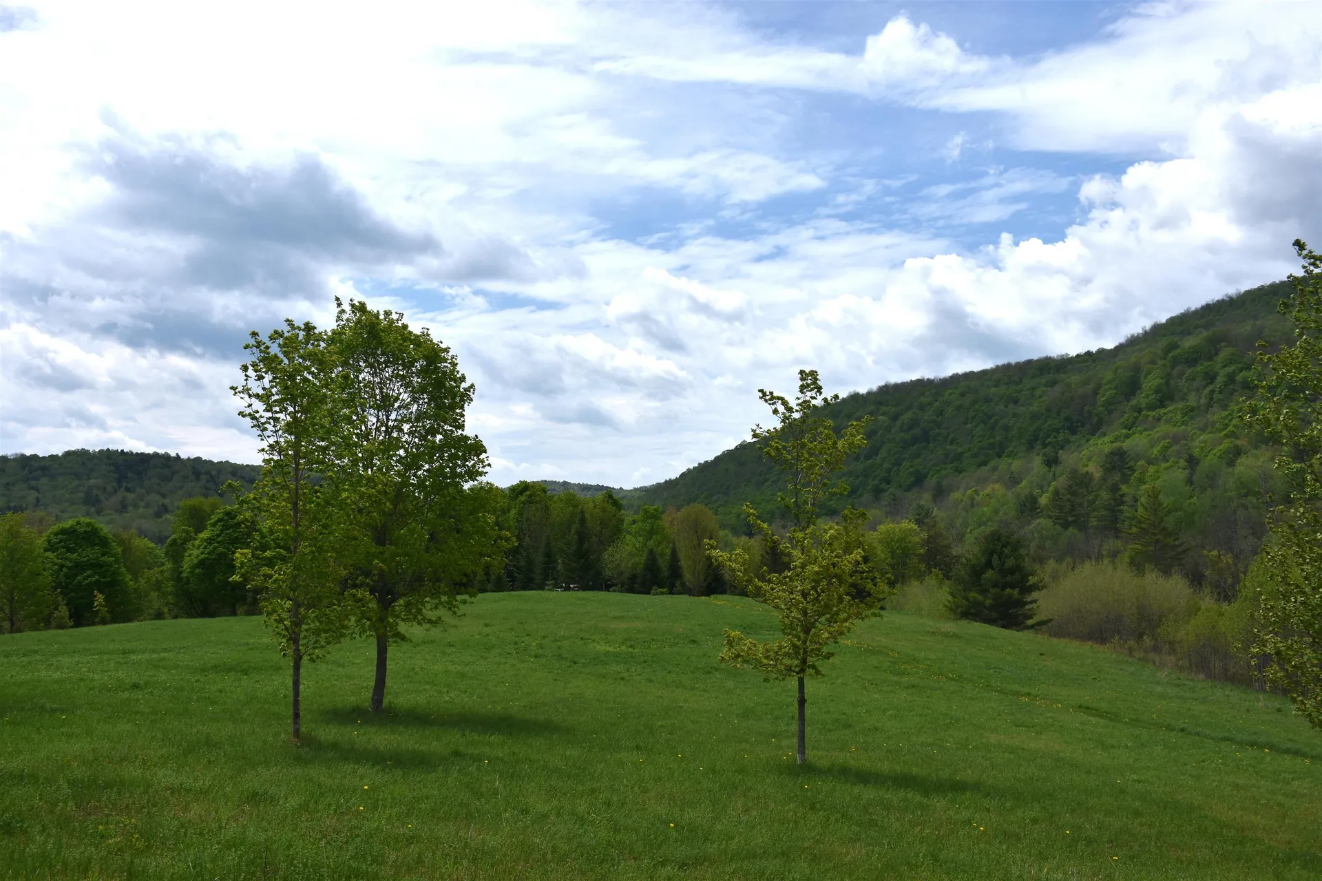 Lot B Windmill Lane Williamstown VT 05679