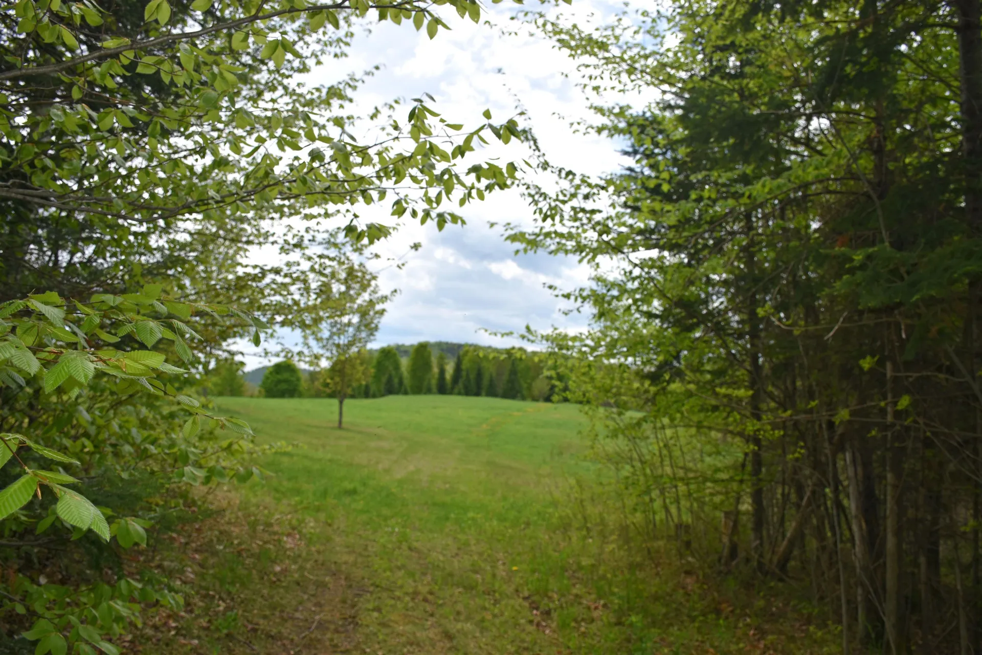 Lot B Windmill Lane Williamstown VT 05679