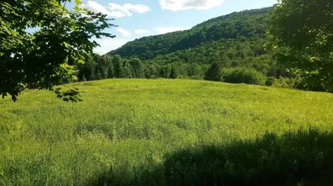 Lot B Windmill Lane Williamstown VT 05679