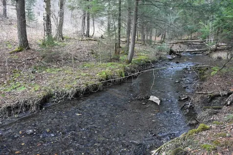 Lot B Windmill Lane Williamstown VT 05679