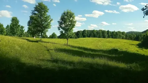Lot B Windmill Lane Williamstown VT 05679
