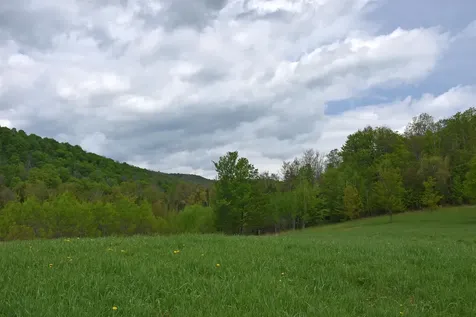 Lot B Windmill Lane Williamstown VT 05679