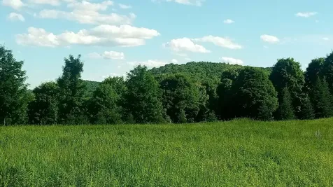 Lot B Windmill Lane Williamstown VT 05679