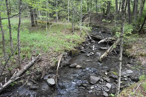 Lot B Windmill Lane Williamstown VT 05679