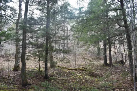 Lot B Windmill Lane Williamstown VT 05679