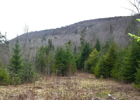 Lot B Windmill Lane Williamstown VT 05679