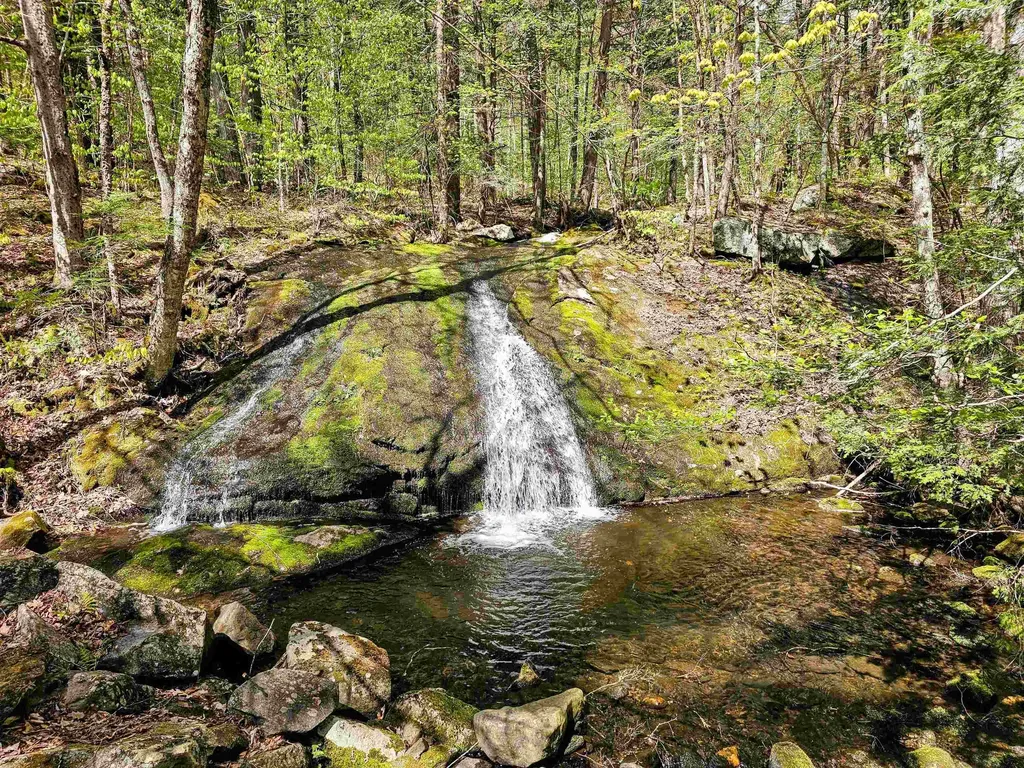 1905 Turkey Mountain Road Jamaica VT 05343